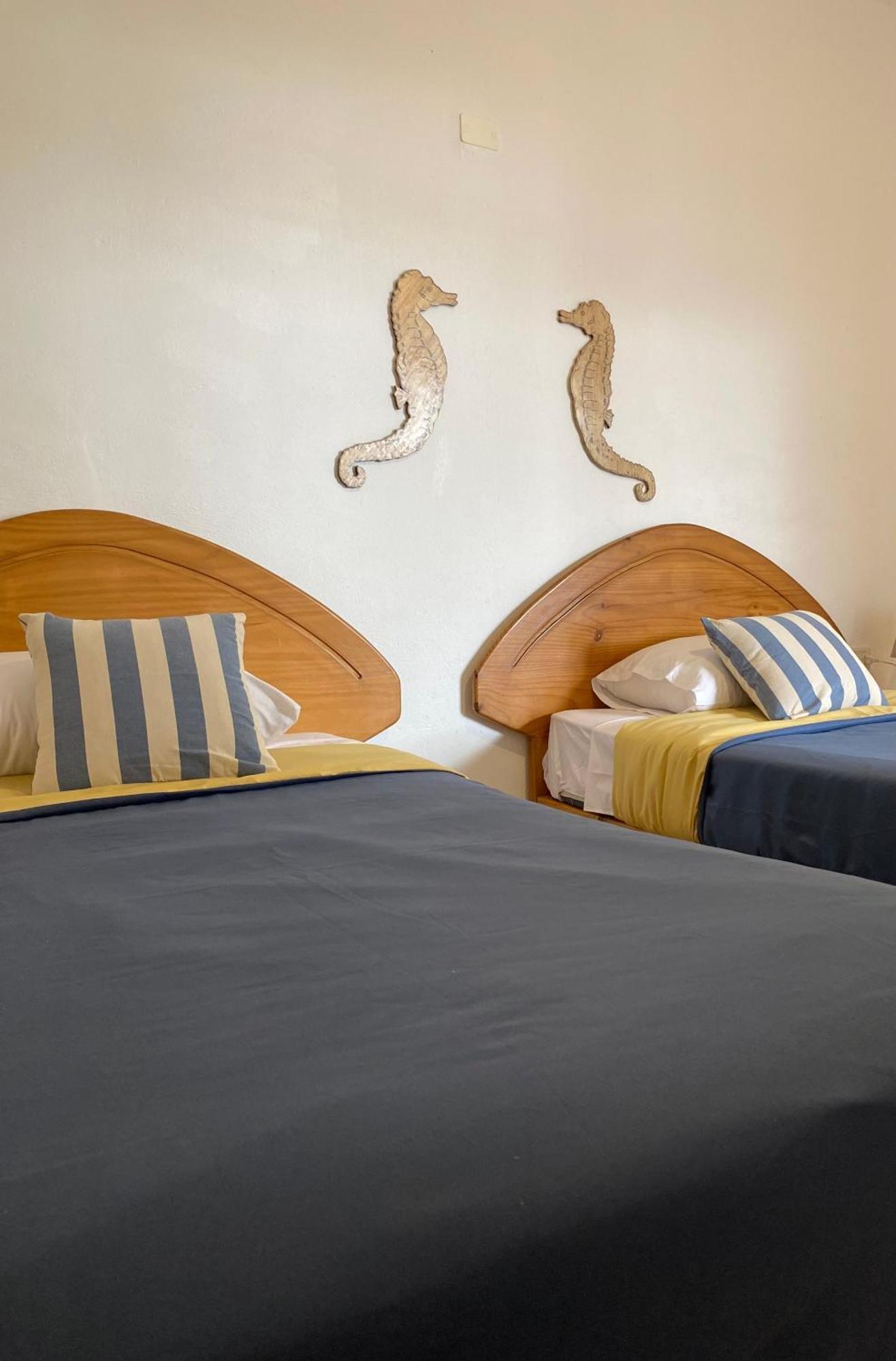 Ravenala Paracas Hostel ภายนอก รูปภาพ
