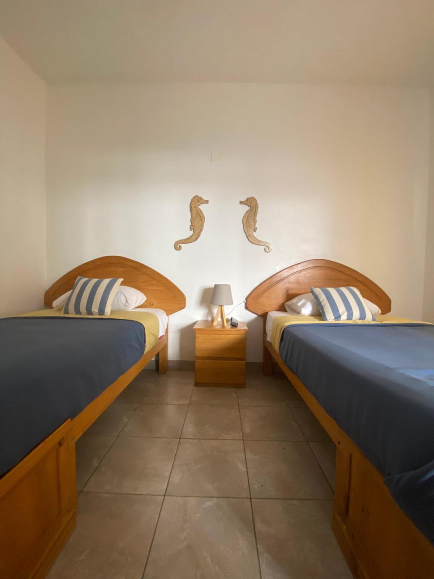 Ravenala Paracas Hostel ภายนอก รูปภาพ